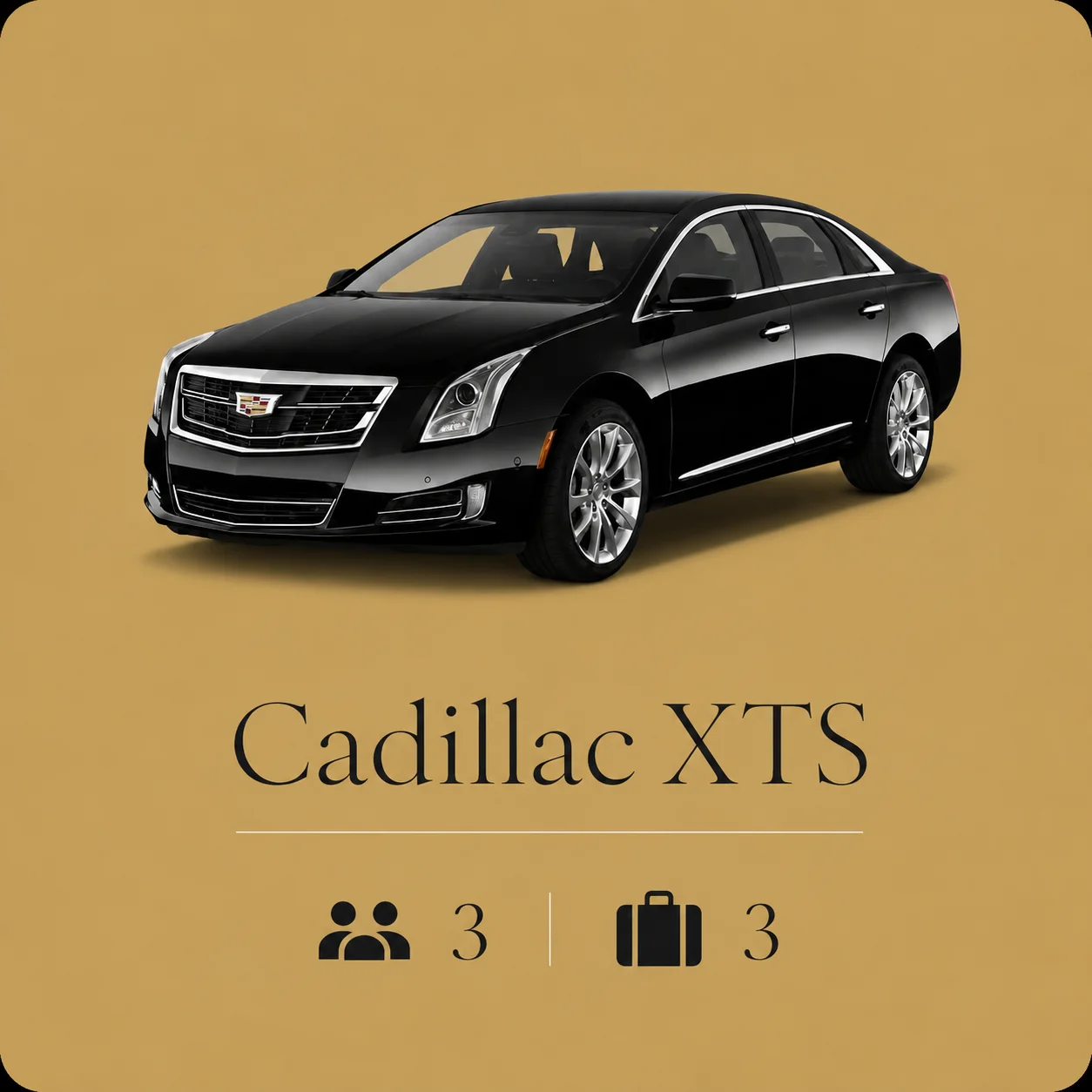 Luxury fleet vehicle 01