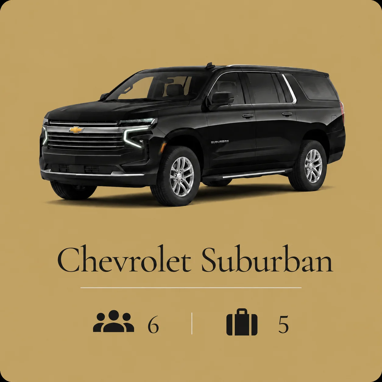 Luxury fleet vehicle 04