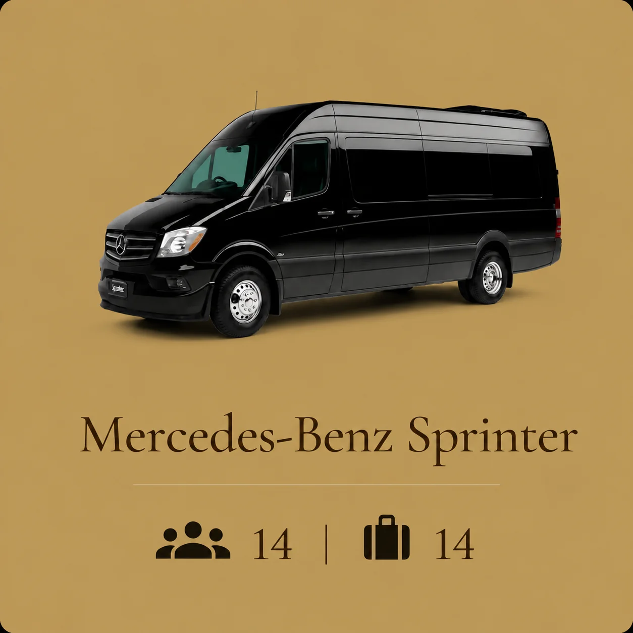 Executive transportation vehicle in the Muskoka Limousine Services fleet