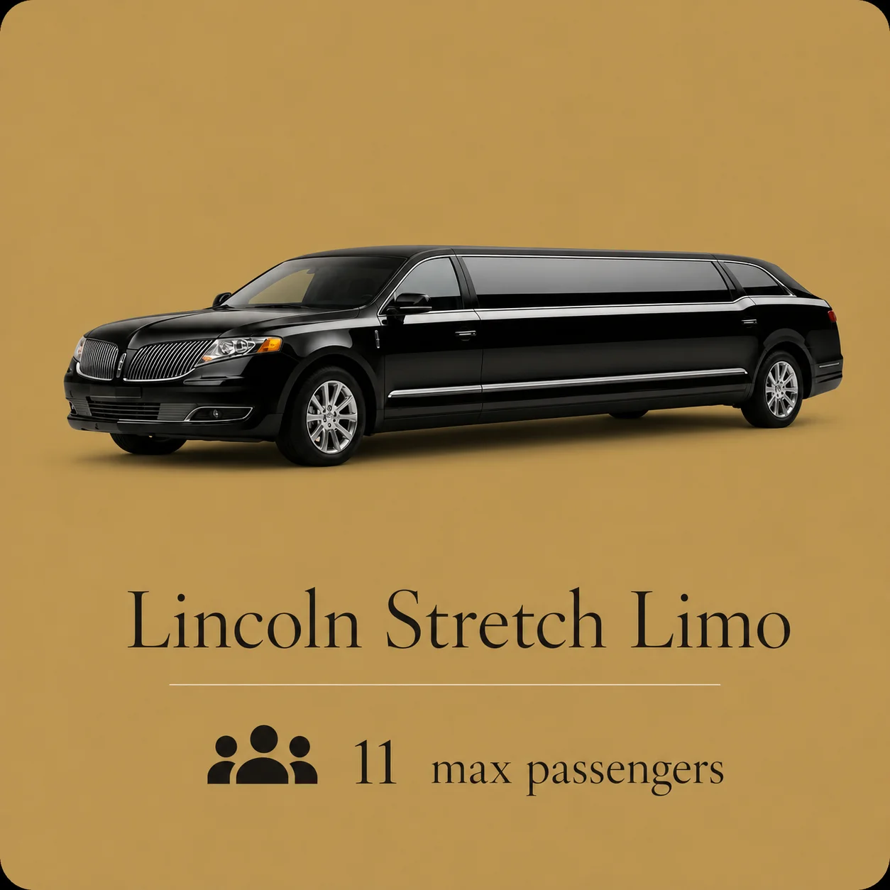 Luxury group vehicle in the Muskoka Limousine Services fleet