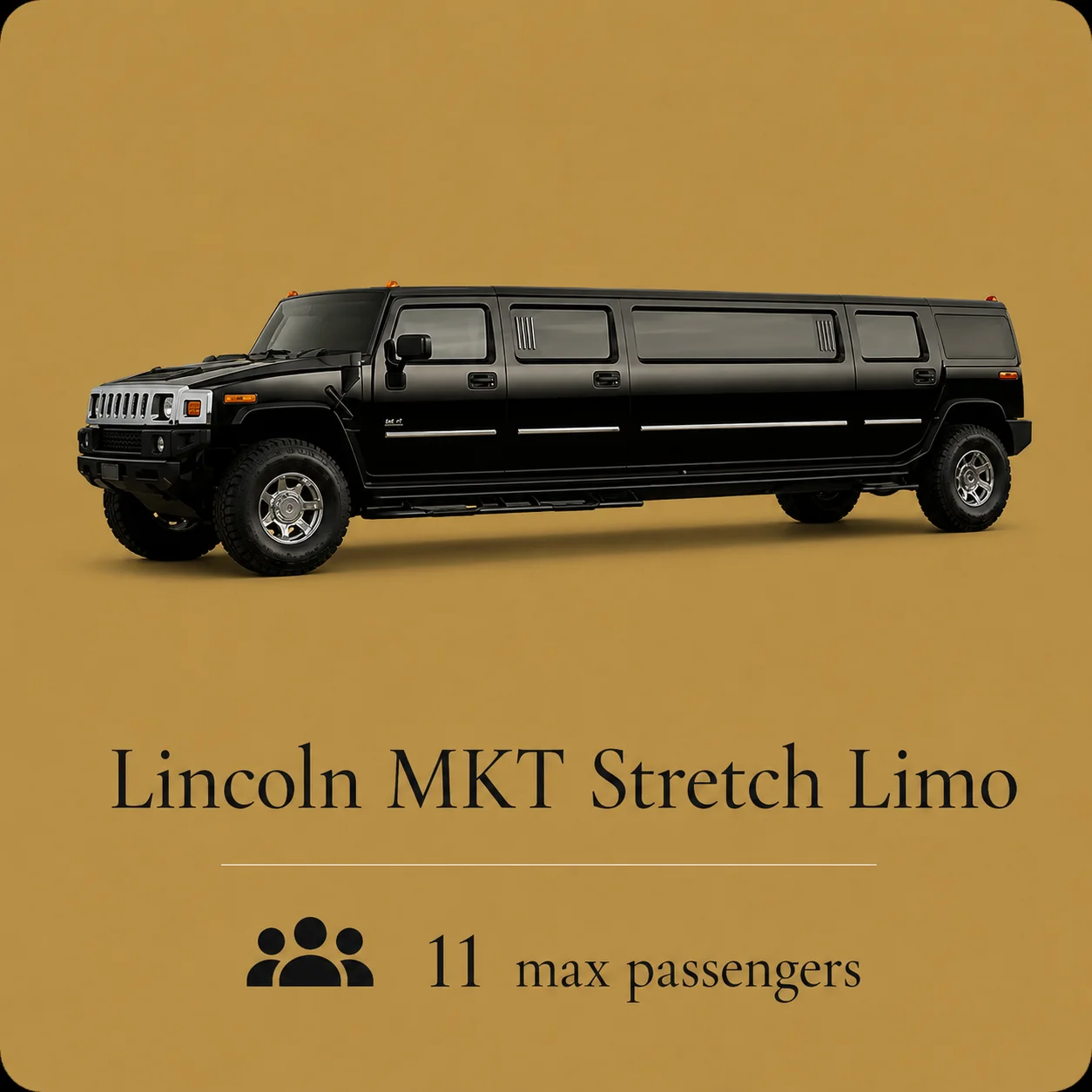 Private luxury vehicle in the Muskoka Limousine Services fleet