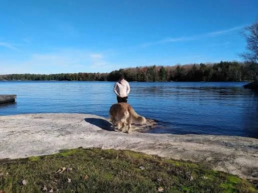 MacTier
